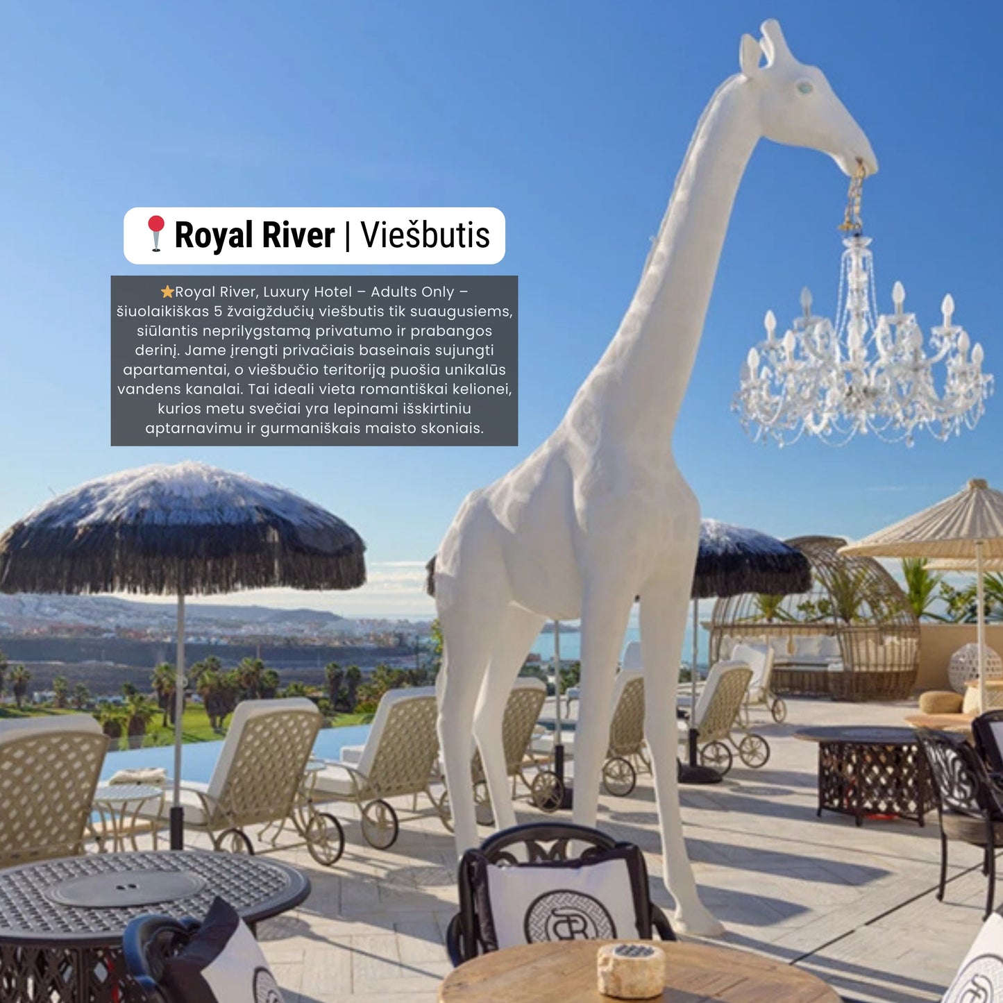 Tenerifė | Salos Gidas